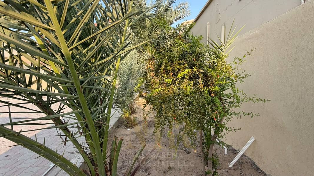 2 WhatsApp Image 2026-10-14 at 4.21. 54 AM (1). jpeg