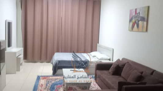 استوديو  للايجار في الراشدية، عجمان - مفروش-للا-يجار-2-غرف-الراشدية-3-عجمان-ستي-توار-صورة-العقار-10. jpg