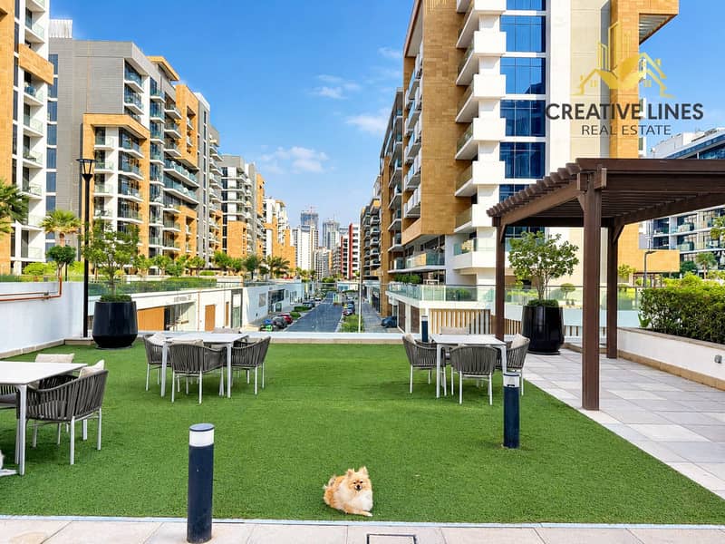9 Sunny Rooftop Garden with Pomeranian. png