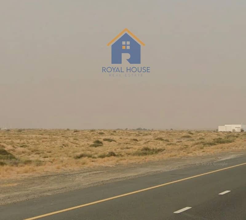 2 95550. jpg