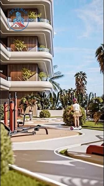 6 images (22). jpg