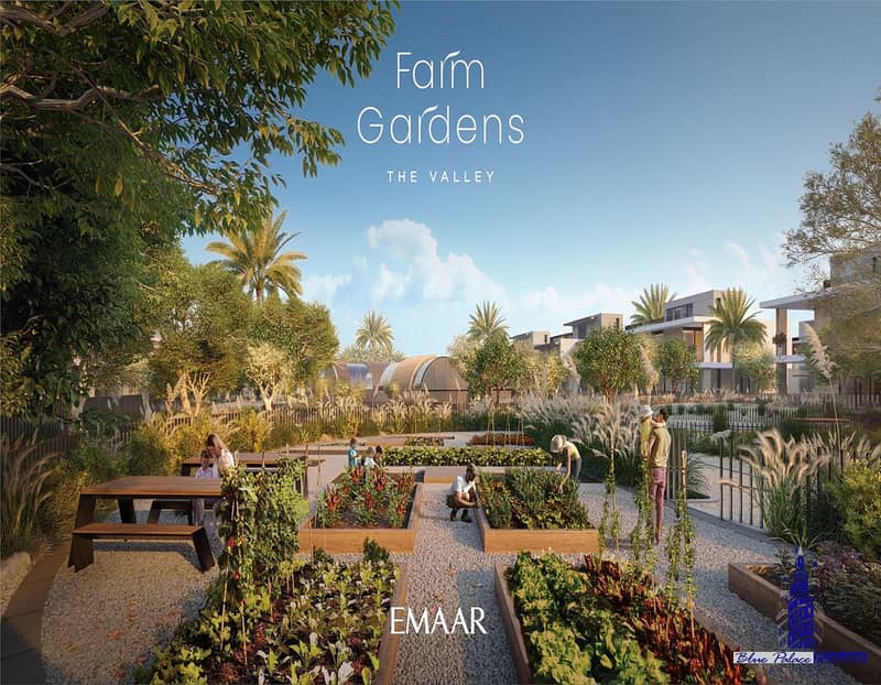 13 FARM GARDENS_THE_VALLEY_EMAAR8. jpg