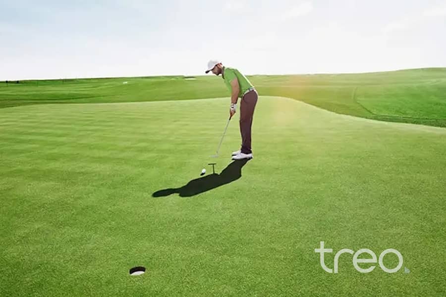 12 golf vale 12. jpg