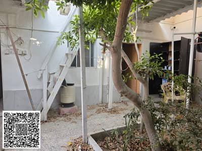 2 Camere Villa in affitto a Al Rumaila, Ajman - WhatsApp Image 2026-10-29 at 12.59. 04 PM (1). jpeg