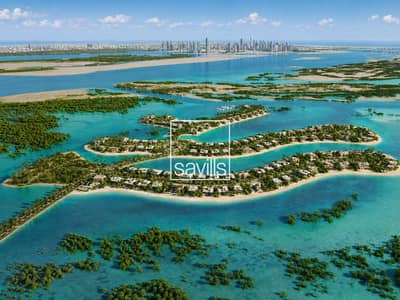 Plot zum Verkauf in Al Jubail Island, Abu Dhabi - Grundstück in Al Jubail Island，Bada Al Jubail, 33000000 AED - 17023523