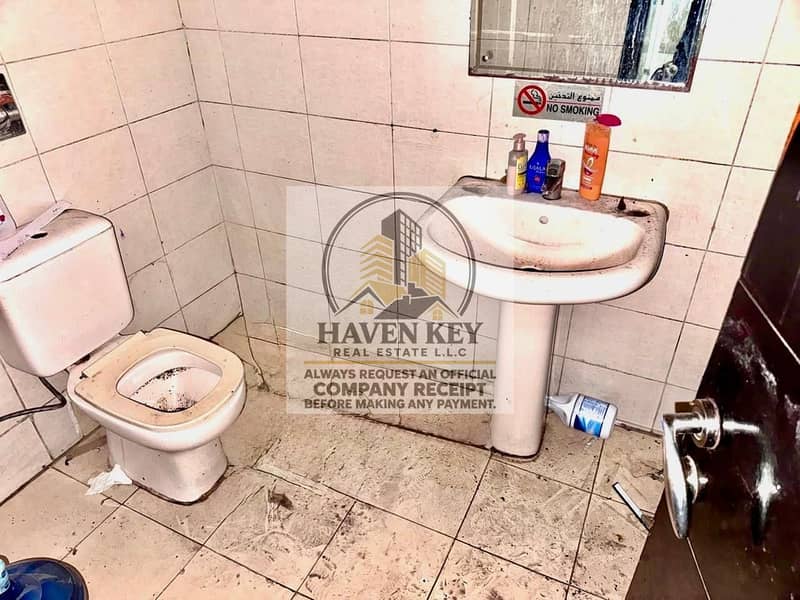 3 1000175347. jpg
