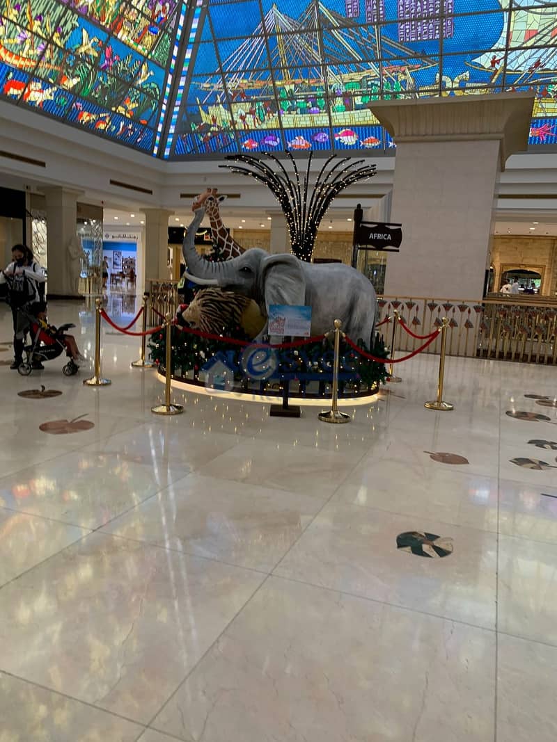 17 IMG_9009. jpeg