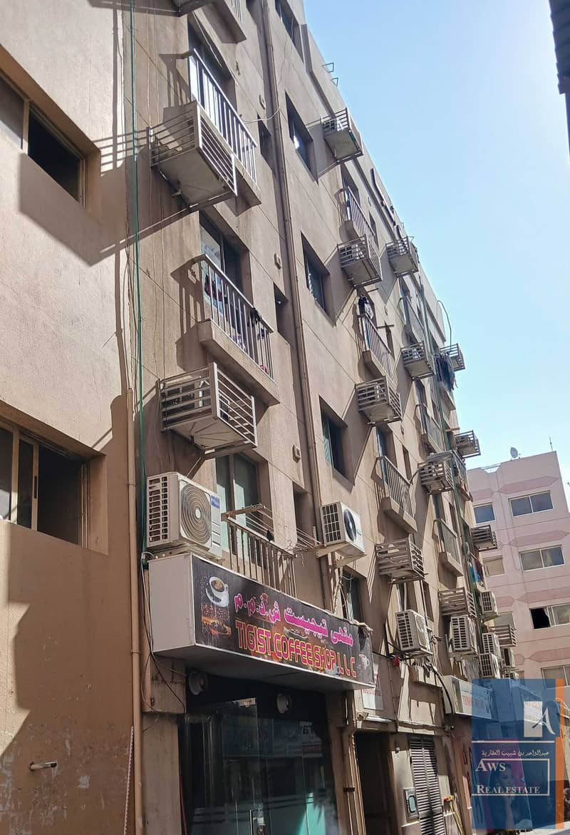 5 20260121_115826 EDIT. jpg