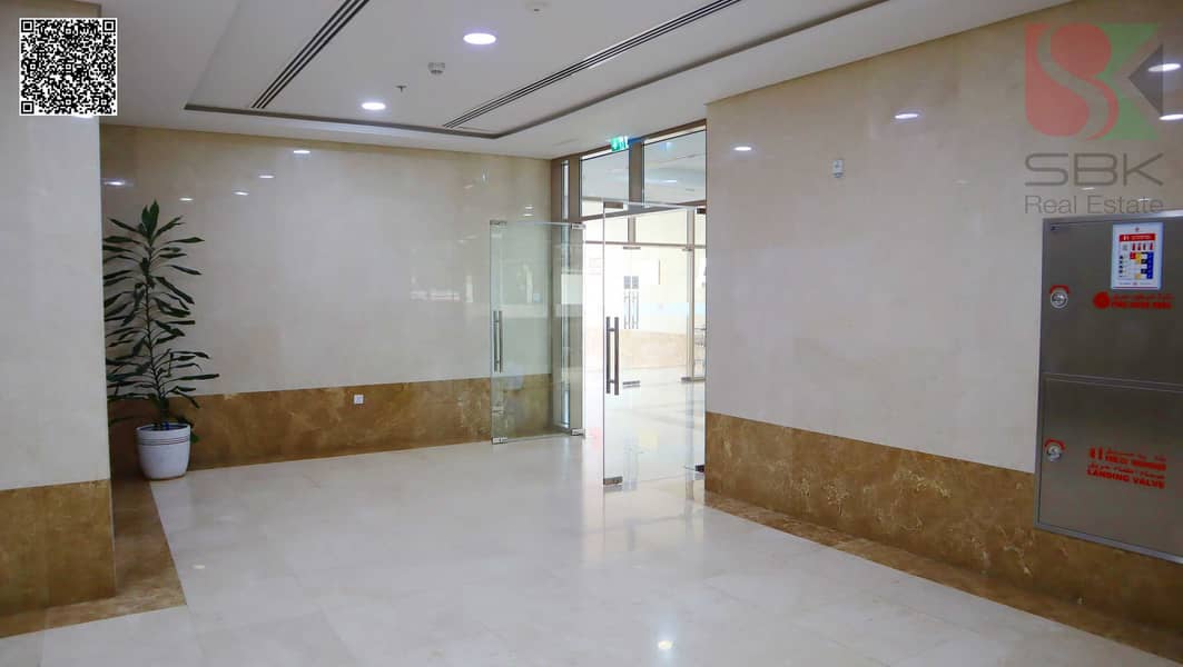 3 IMG_5646. png
