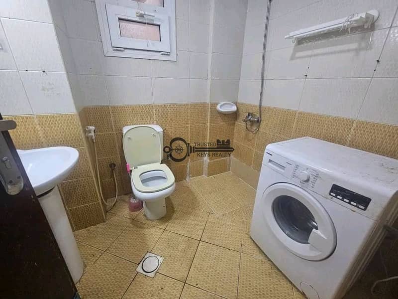 3 1000535884. jpg