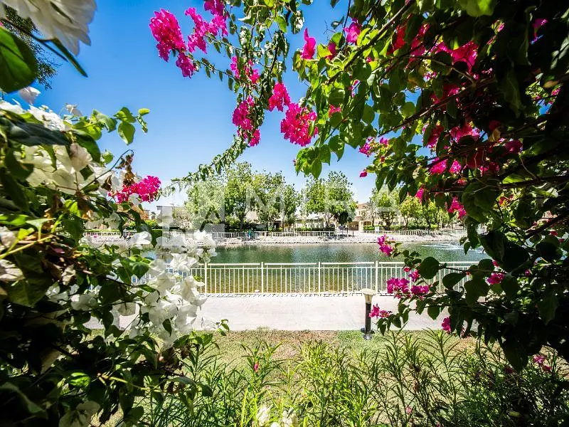 Exclusive | Lake View | Large Plot