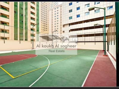 شقة في برج أوركيد النهدة النهدة 2 غرف 44999 درهم - 4491239 شقة في برج أوركيد النهدة النهدة 2 غرف 44999 درهم - 4491239