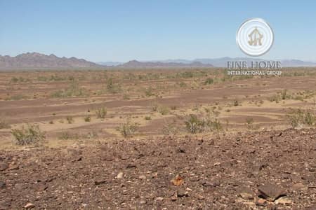 Amazing Commercial Land in Khalifa City Amazing Commercial Land in Khalifa City