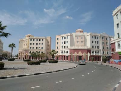 England Cluster rented one bedroom with out balcony round about building price 345000/- net England Cluster rented one bedroom with out balcony round about building price 345000/- net