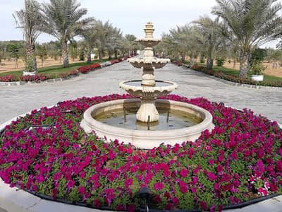 For sale farm vip in Al Rahba Abudhabi, For sale farm vip in Al Rahba Abudhabi,