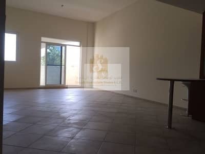 Ground Floor Large And Spacious 1B/R For Rent Ground Floor Large And Spacious 1B/R For Rent