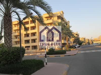 AL HAMRA GOLF STUDIO APARTMENT FOR RENT AL HAMRA GOLF STUDIO APARTMENT FOR RENT