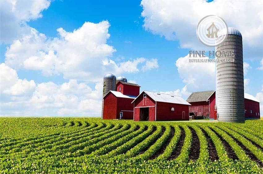 Amazing big Farm in Al khaznah area . Al Ain Amazing big Farm in Al khaznah area . Al Ain