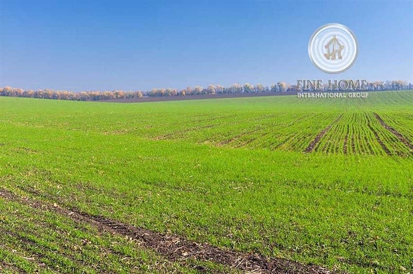 Nice Farm in Al khaznah area . Al Ain Nice Farm in Al khaznah area . Al Ain