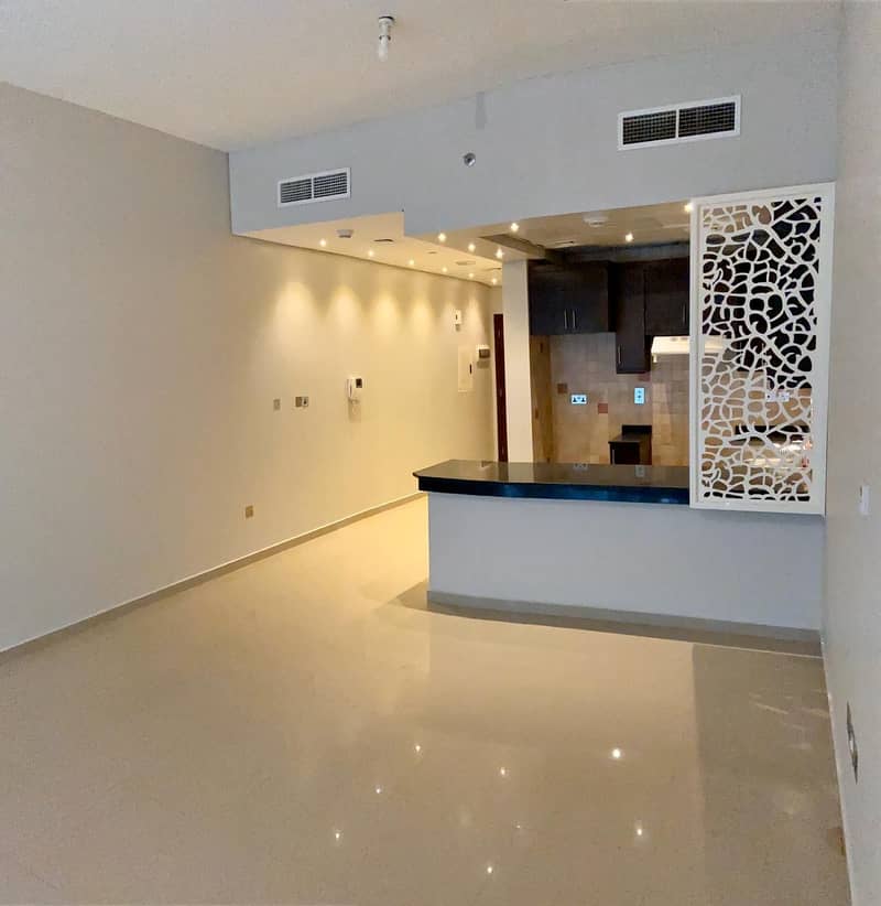 Well Maintained & Modern Style Apartment