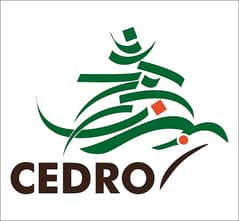 Cedro