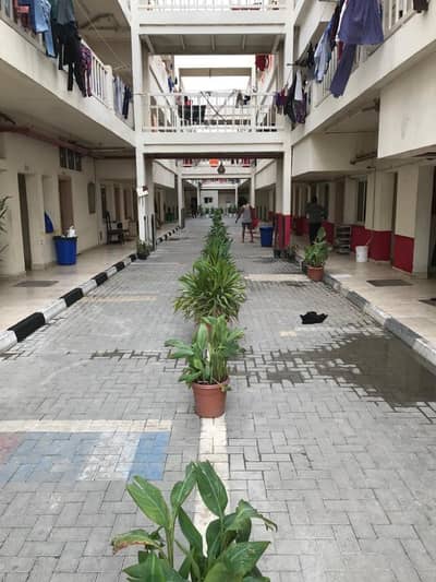 سكن عمال بالسنابور 6 افراد نظيف جدا . . جميع الاوراق كامله 1600 سكن عمال بالسنابور 6 افراد نظيف جدا . . جميع الاوراق كامله 1600
