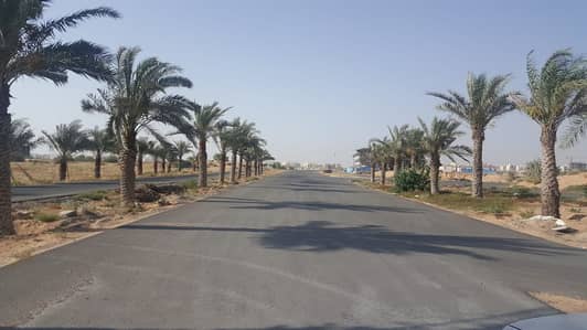land Commercial for sale in global city ajman land Commercial for sale in global city ajman