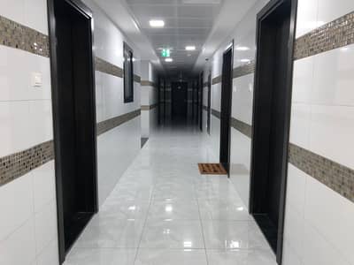 BRAND NEW & FULL FACILITY BUILDING! 1BHK WITH 1 MONTH FREE FOR RENT AVAILABLE IN PHASE 2 -04 BRAND NEW & FULL FACILITY BUILDING! 1BHK WITH 1 MONTH FREE FOR RENT AVAILABLE IN PHASE 2 -04