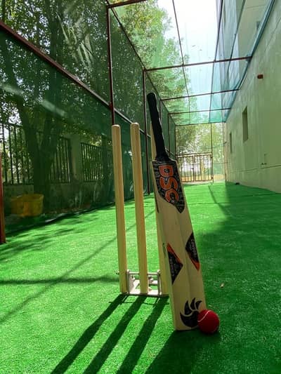 cricket area cricket area