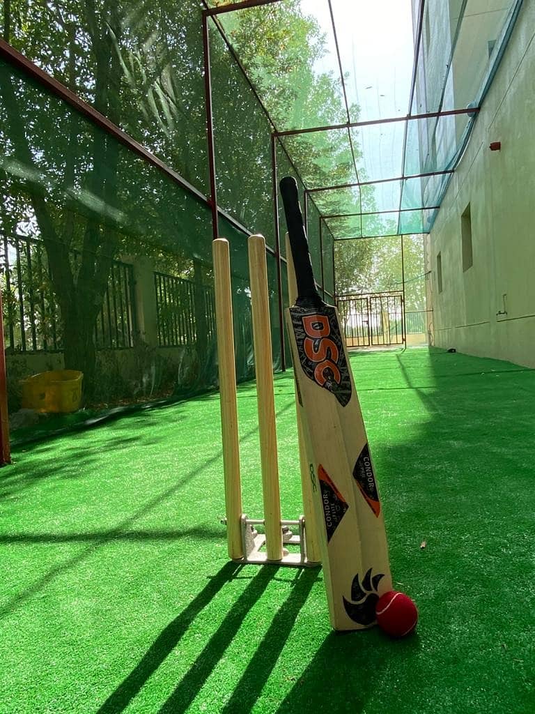 cricket area cricket area