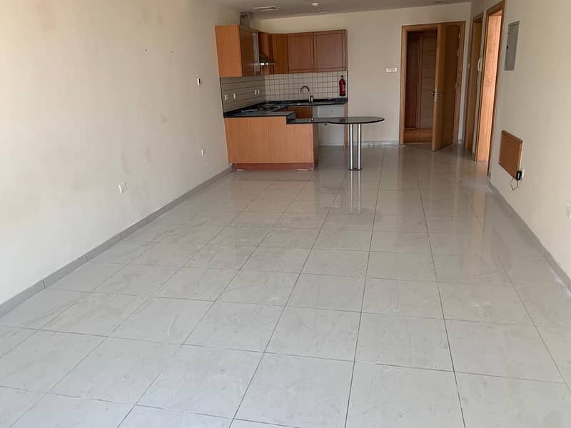 EXCLUSIVE SPACIOUS ONE BEDROOM APARMENT CHILLER FREE