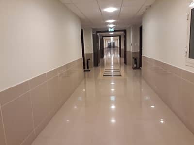 Attractive And Beautiful One - Bedroom Apartment With Balcony & Basement Parking Attractive And Beautiful One - Bedroom Apartment With Balcony & Basement Parking