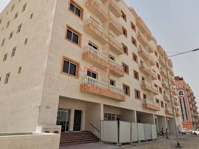 Brand New One Bedroom Apartment Brand New One Bedroom Apartment