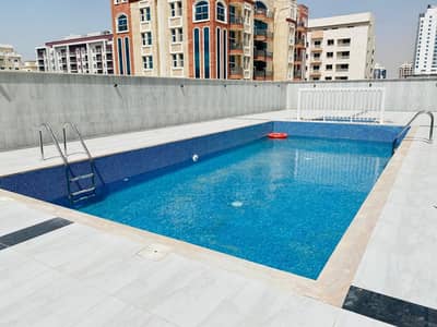 Brand New Apartment / Free Months / Good Fixture Quality Brand New Apartment / Free Months / Good Fixture Quality
