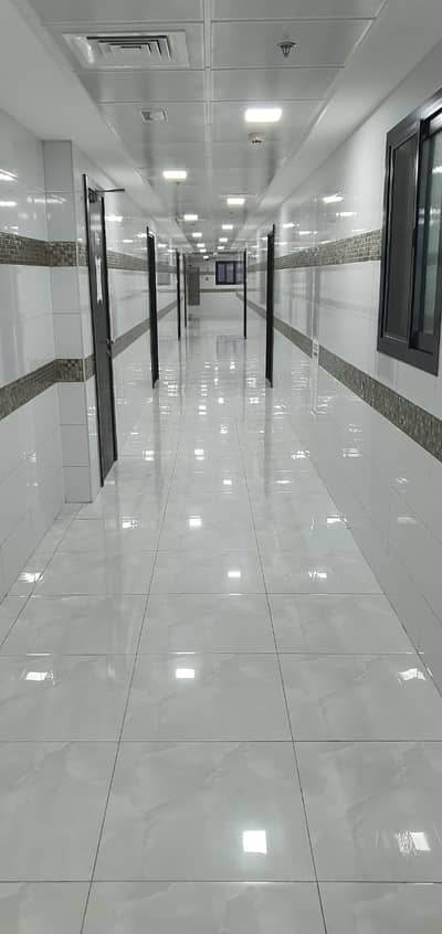 FULL FACILITY BRAND NEW BUILDING ONE BED ROOM WITH 1 MONTH FREE RENT IN PHASE 2 FULL FACILITY BRAND NEW BUILDING ONE BED ROOM WITH 1 MONTH FREE RENT IN PHASE 2