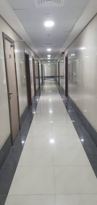 FULL FACILITY BRAND NEW BUILDING STUDIO WITH BALCONY RENT IN PHASE 2 FULL FACILITY BRAND NEW BUILDING STUDIO WITH BALCONY RENT IN PHASE 2