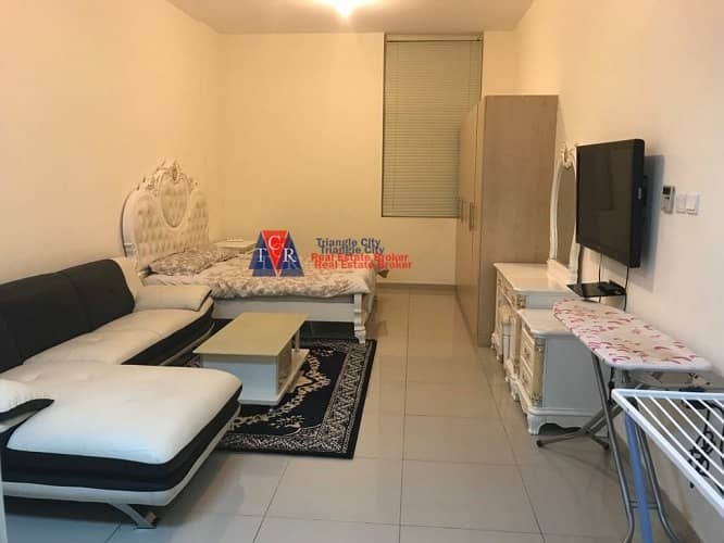 Luxury Furnished Studio Apartment For Sale in Majan.