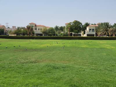 Great Location| Large Plot| Landscaped Great Location| Large Plot| Landscaped