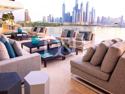 CALL THE ONE PALM EXPERTS NOW | BEST VALUE UNITS CALL THE ONE PALM EXPERTS NOW | BEST VALUE UNITS
