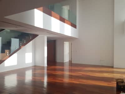 Duplex Upgraded Apt Duplex Upgraded Apt