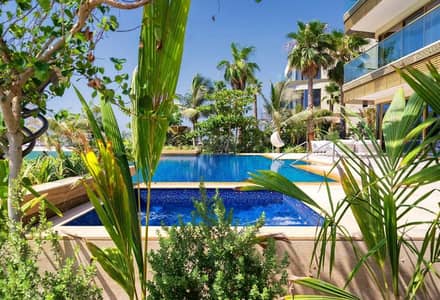 Exceptional Private Island | Unique Exclusivity Exceptional Private Island | Unique Exclusivity