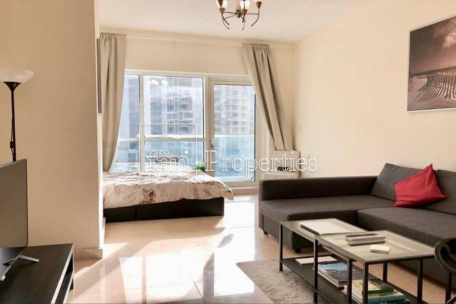 Fully Furnished | Spacious studio | Pool View