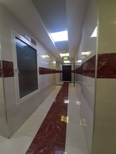 2 Bed Room For Rent in Ajman Al Jurf Area Opposite Maroor Near to Ajman University