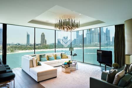 Live in The Palm | 45/55 PP | Very Large Layout Live in The Palm | 45/55 PP | Very Large Layout