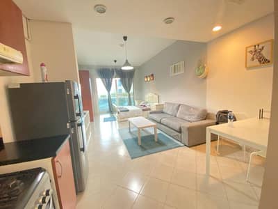 Large Furnished Studio Sale available
