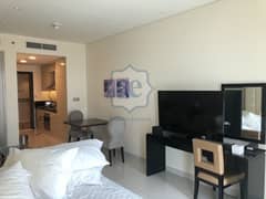 Fully furnished Studio apartment |Chiller free