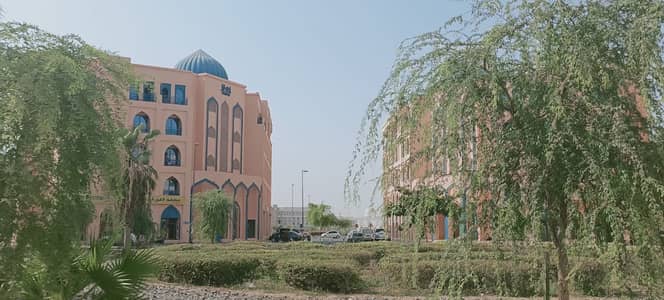 Different Vacant & Rented Apartments for Sale in International City Different Vacant & Rented Apartments for Sale in International City