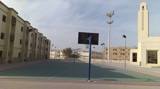 Labour Camps for Rent in Al Quoz | Bayut.com