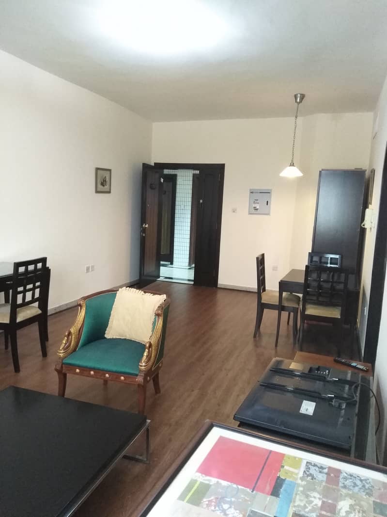 Nice and big furnished One Bedroom Hall for rent