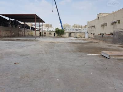 20000 square feet open yard 20000 square feet open yard